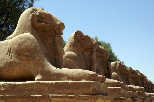 2007_egypttrip005